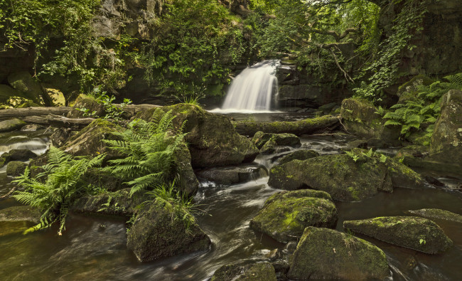 Обои картинки фото thomason, foss, waterfall, england, природа, водопады, папоротник, камни, лес, река, англия
