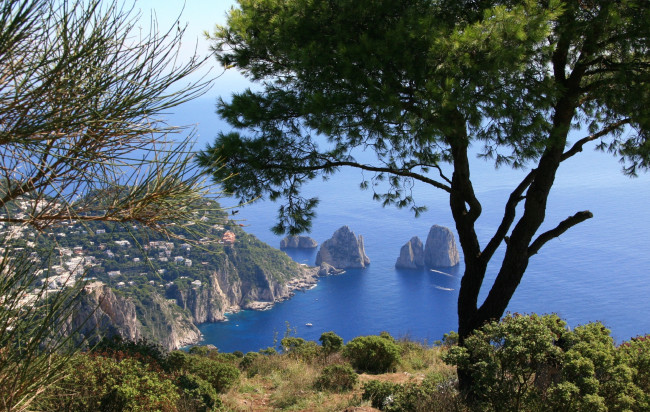 Обои картинки фото monte, solara, природа, побережье, панорама, деревья, бухта, море, скалы