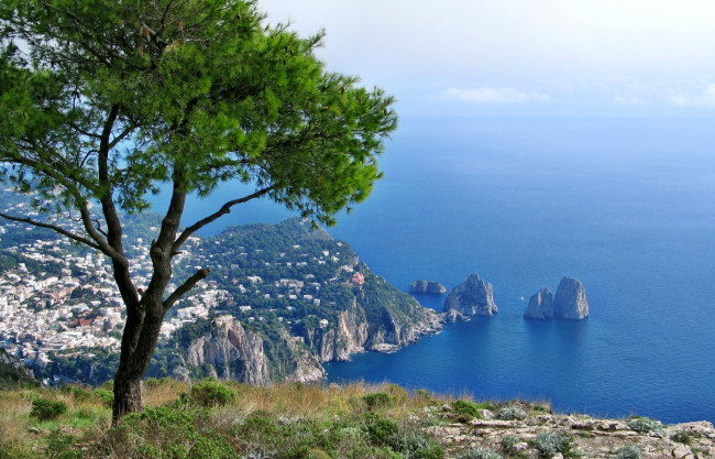 Обои картинки фото capri, природа, побережье, скалы, дерево, панорама, горы, горизонт, море