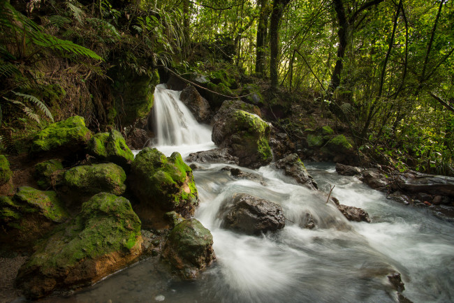 Обои картинки фото ketetahi, stream, tongariro, national, park, new, zealand, природа, водопады, речка, ручей, камни, лес, поток, новая, зеландия
