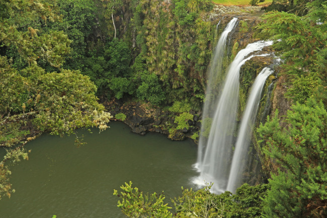 Обои картинки фото whangarei, falls, hatea, river, new, zealand, природа, водопады, водопад, река, лес