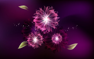 Картинка 3д+графика цветы+ flowers лепестки