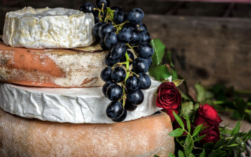 Картинка еда сырные+изделия розы сыр круги виноград гроздь