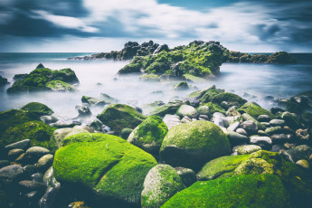 Картинка природа побережье водоем камни