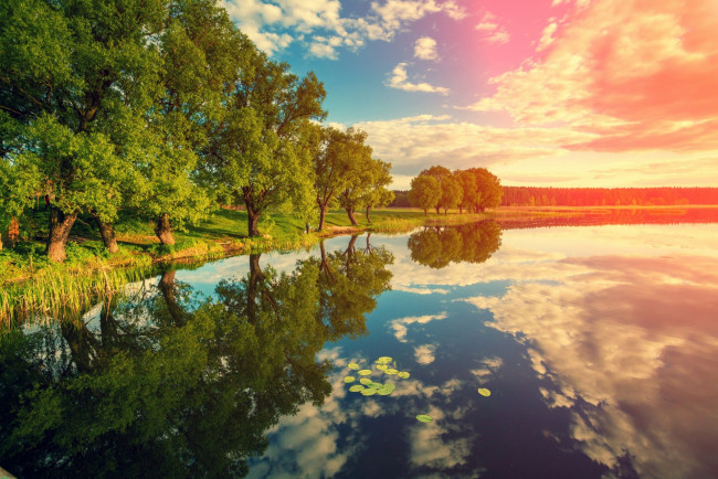 Обои картинки фото природа, реки, озера, водоем, трава, деревья, отражение