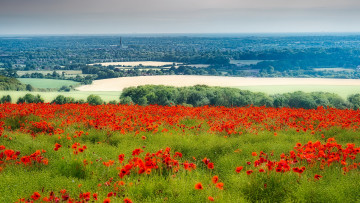 Картинка природа пейзажи england west dean chichester district