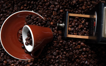 Картинка еда кофе +кофейные+зёрна чашка зерна кофейные блюдце