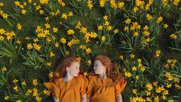 Картинка разное дети нарциссы девочки близнецы рыжеволосые