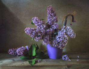 Картинка цветы сирень ваза букет лиловая лепестки