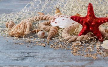 Картинка разное ракушки +кораллы +декоративные+и+spa-камни сеть веревка морская звезда