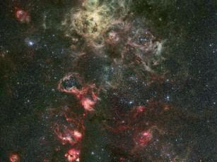 Картинка туманность тарантул космос галактики туманности