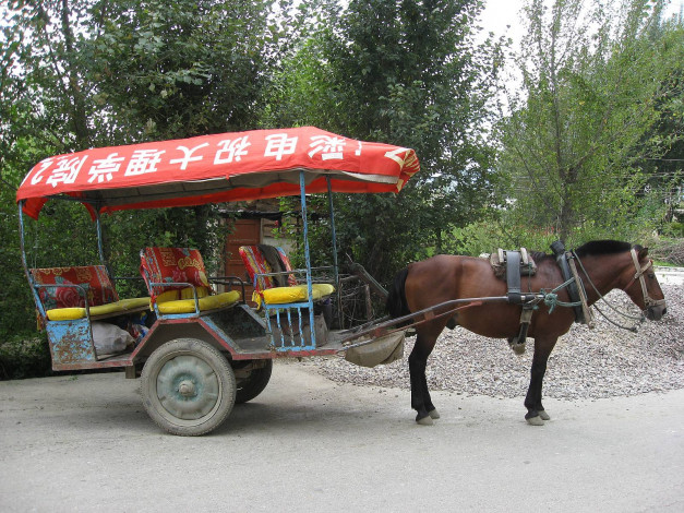 Обои картинки фото разное, транспортные, средства, магистрали, лошадь, повозка