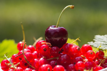 Картинка еда фрукты ягоды красная смородина вишня