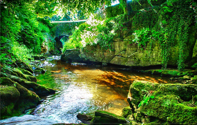 Обои картинки фото природа, реки, озера, арка, лето, каменный, мост, мох, река, камни, лес