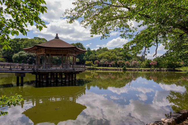 Обои картинки фото ukimido, pavilion, nara, park, japan, природа, парк, пруд, деревья, беседка, павильон, нара, отражение