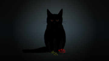 Картинка 3д+графика животные+ animals кот роза