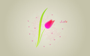 Картинка векторная+графика цветы тюльпан