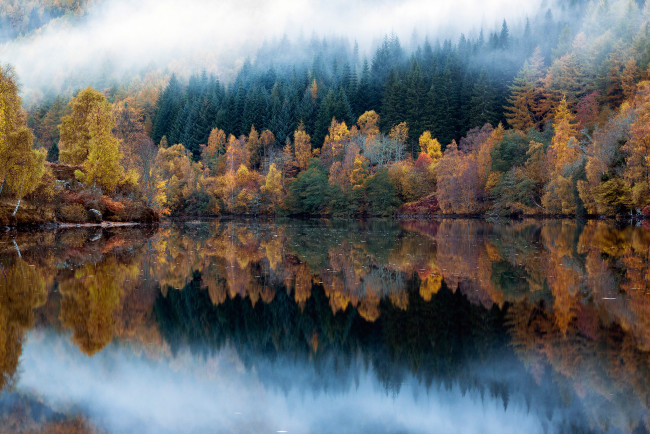 Обои картинки фото природа, реки, озера, осень, отражения, озеро, лес
