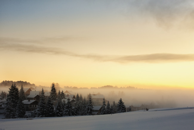 Обои картинки фото природа, зима, лес, утро, рассвет, туман, снег, деревня, ели, дома