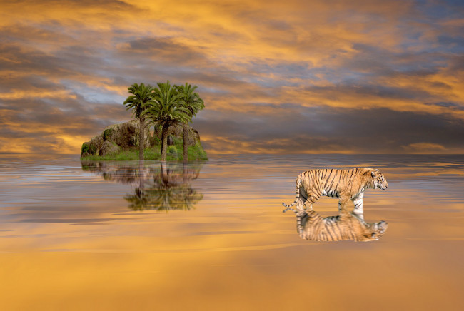 Обои картинки фото разное, компьютерный дизайн, скала, вода, небо, облака, пейзаж, природа, тигр, пальмы