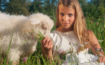 Картинка девушки -unsort+ блондинки настроение ягнёнок взгляд овечка девушка луг