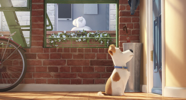 Обои картинки фото the secret life of pets, мультфильмы, персонаж