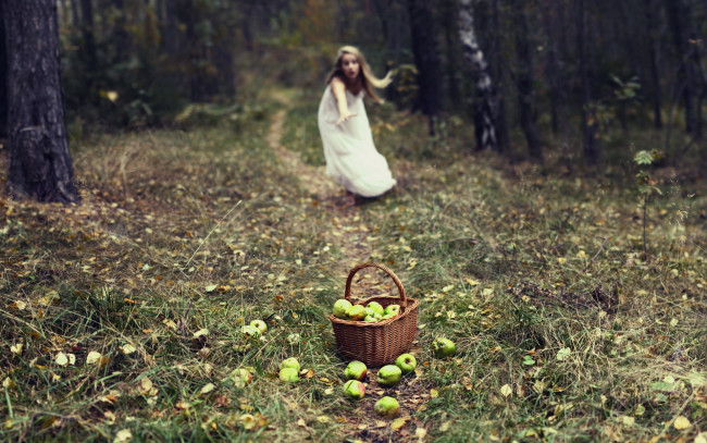 Обои картинки фото девушки, -unsort , блондинки, блондинка, лес, трава, тропа, яблоки, корзина