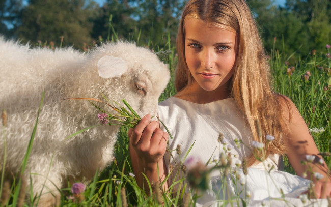 Обои картинки фото девушки, -unsort , блондинки, настроение, ягнёнок, взгляд, овечка, девушка, луг