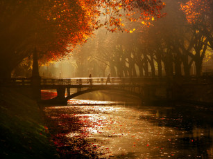Картинка города -+мосты дюссельдорф королевская аллея люди мост осень