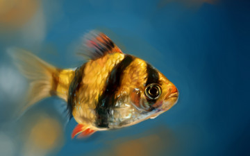 Картинка рисованное животные +рыбы рисунок рыбка