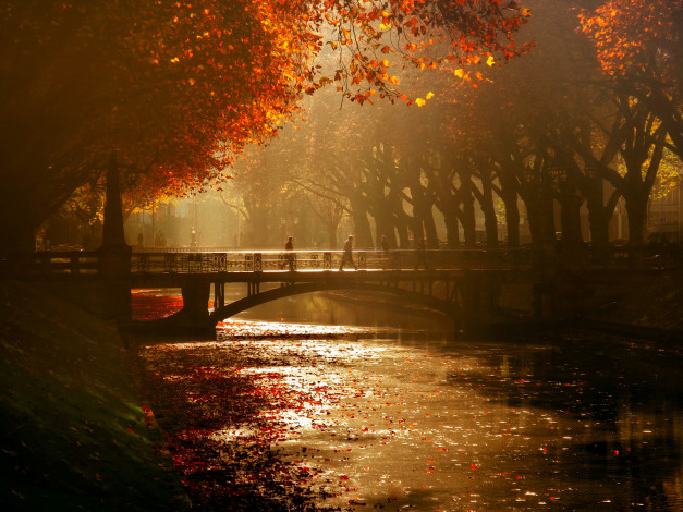 Обои картинки фото города, - мосты, дюссельдорф, королевская, аллея, люди, мост, осень
