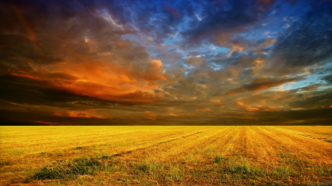 Обои картинки фото природа, поля, поле, облака