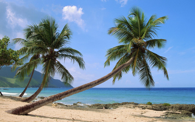 Обои картинки фото природа, тропики, остров, море, пальмы