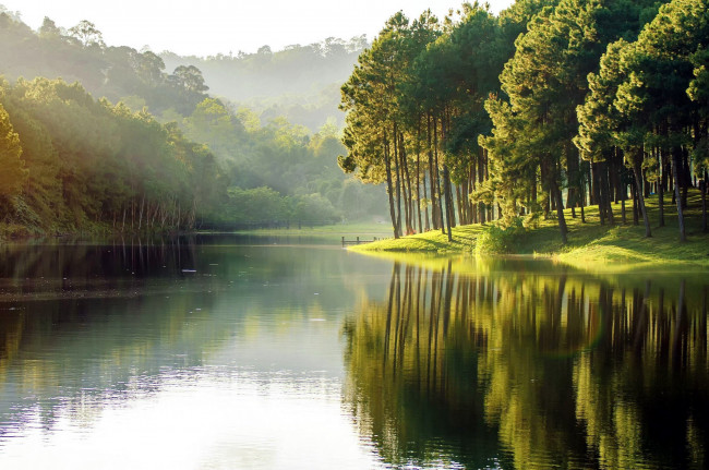 Обои картинки фото природа, реки, озера, вода, деревья, туман, покой