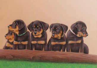 Картинка рисованное животные фон щенки