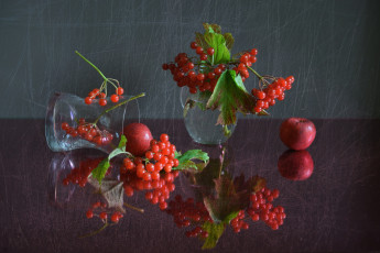 обоя еда, калина, натюрморт, ягоды, отражение, стекло, осень, композиция