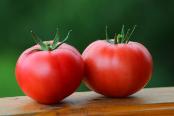 обоя еда, помидоры, дача, урожай, томаты, своё, природа, овощи, лето, вкусно, витамины