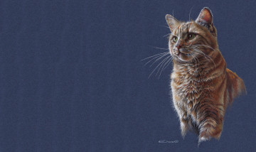 Картинка рисованное животные +коты кошка кот рисунок арт