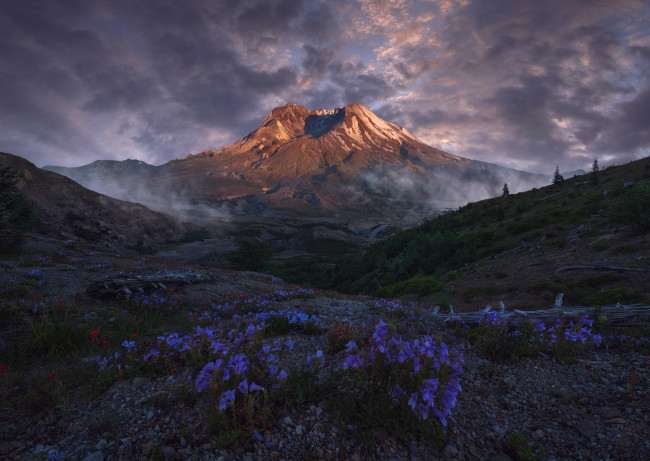 Обои картинки фото природа, горы, вулкан, пейзаж, цветы