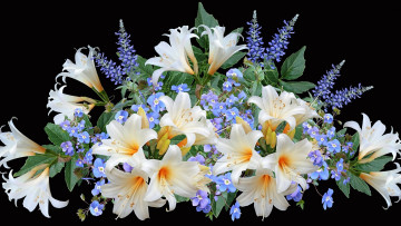 Картинка цветы букеты +композиции лилии незабудки
