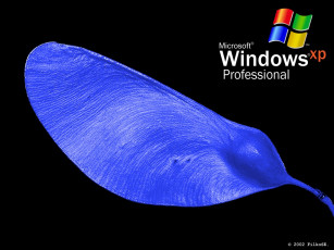 Картинка компьютеры windows xp