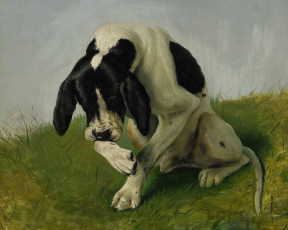 Картинка рисованные johan von holst пойнтер собака