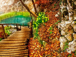 обоя природа, дороги, осень, листья, мостик