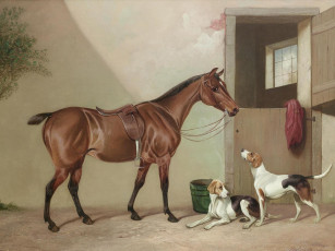 обоя рисованные, colin, graeme, roe, лошадь, и, гончие, собаки
