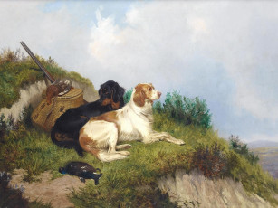 Картинка рисованные colin graeme roe охотничьи собаки