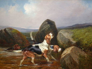 Картинка рисованные colin graeme roe собаки сеттеры