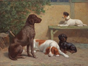 Картинка рисованные heinrich sperling собаки во дворе