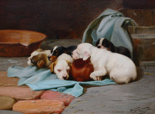 обоя рисованные, william, henry, hamilton, trood, спящие, щенки