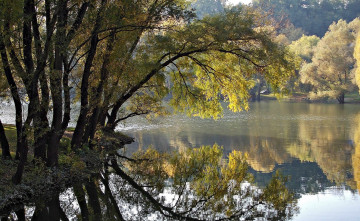 Картинка beautiful reflection of autumn природа реки озера осень отражение деревья река