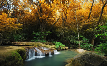 Картинка autumn природа реки озера река осень лес